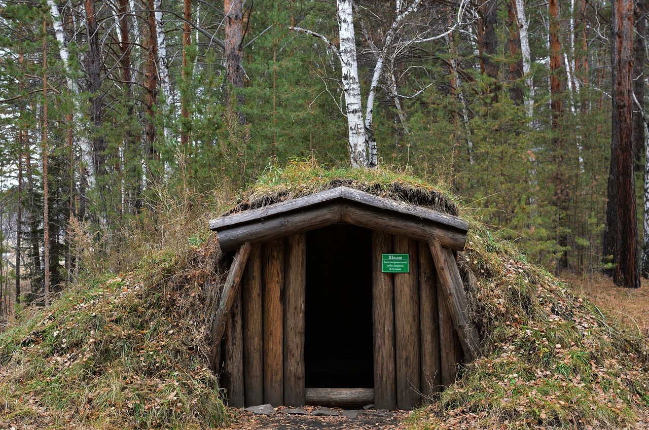 A rustic log hut surrounded by dense forest, showcasing a natural, secluded setting.
